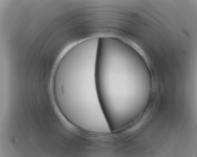 X0000114420803200910161052