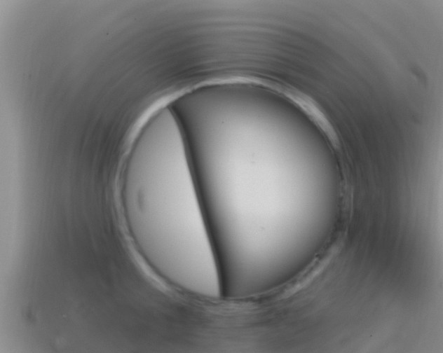 X0000114420805200910161052