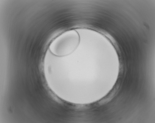 X0000114420807200910161052