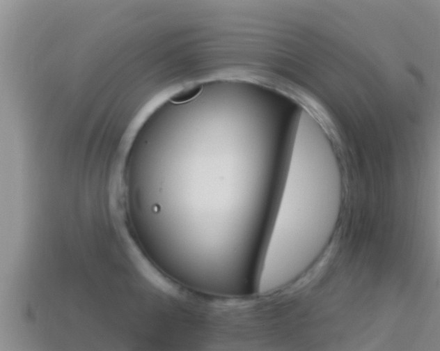 X0000114420808200910161052