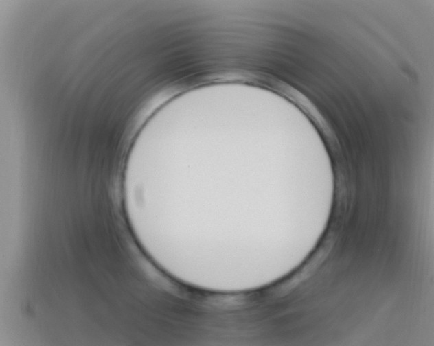 X0000114420810200910161052