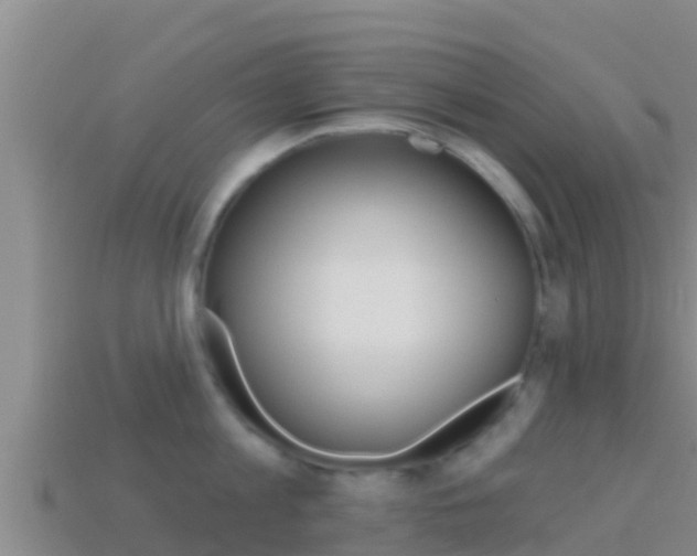 X0000114420813200910161052