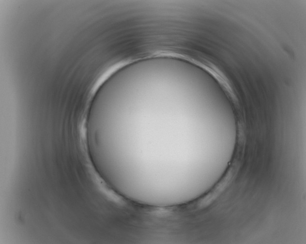 X0000114420814200910161052