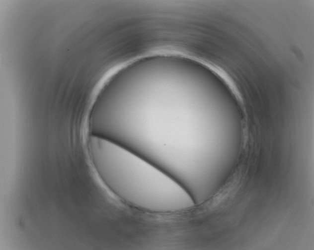 X0000114420815200910161052