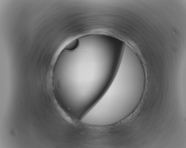 X0000114420816200910161052