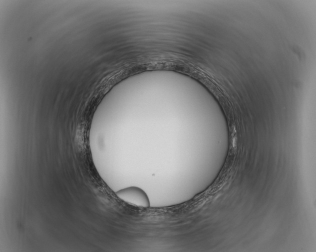 X0000114420819200910161051