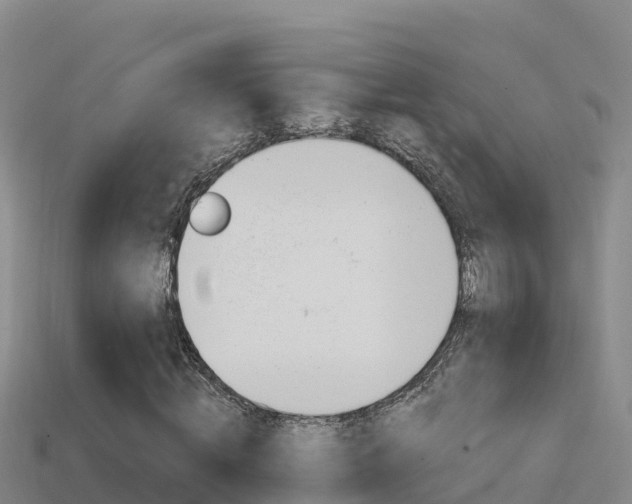 X0000114420820200910161051