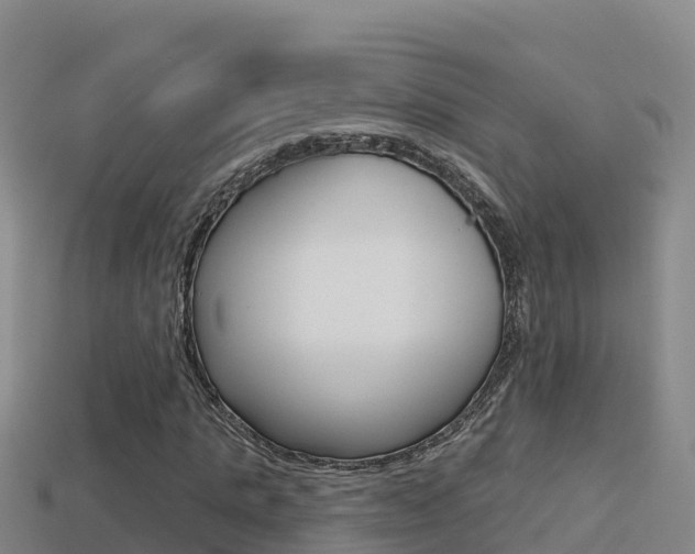 X0000114420821200910161051