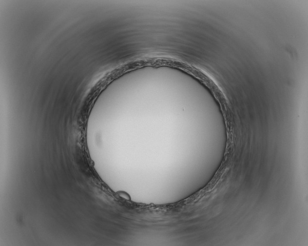 X0000114420823200910161051