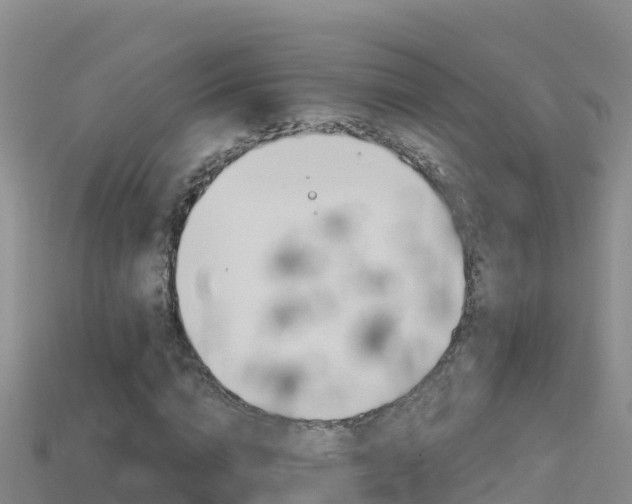 X0000114420824200910161051