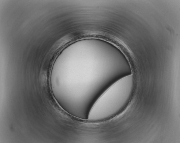 X0000114420825200910161051