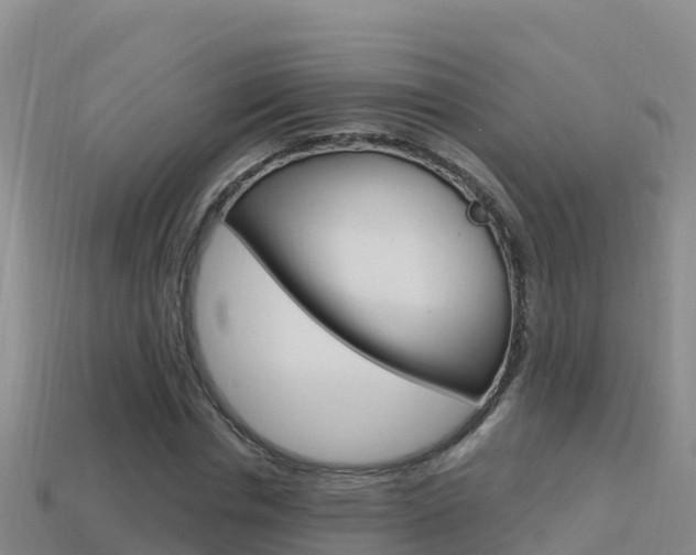 X0000114420826200910161051