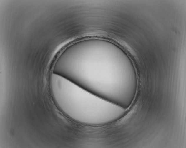 X0000114420830200910161051