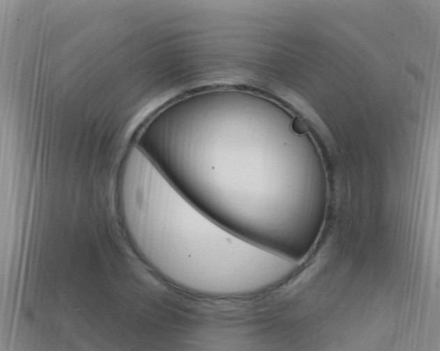 X0000114420834200910161051
