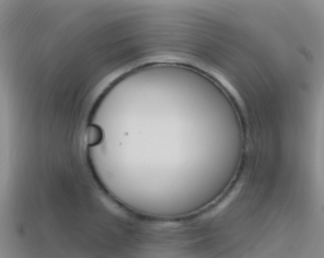 X0000114420837200910161052