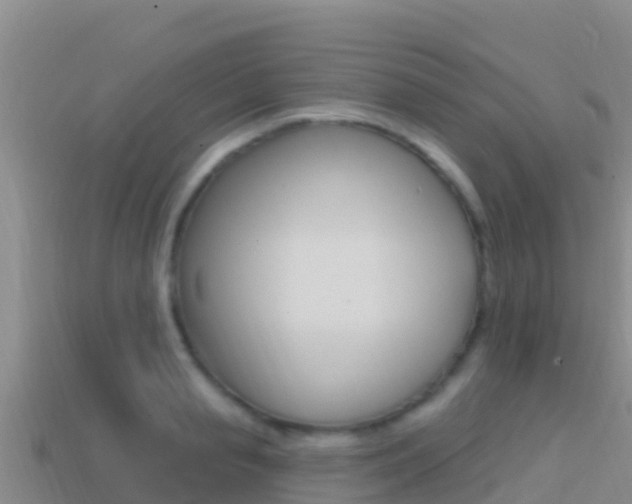 X0000114420845200910161052