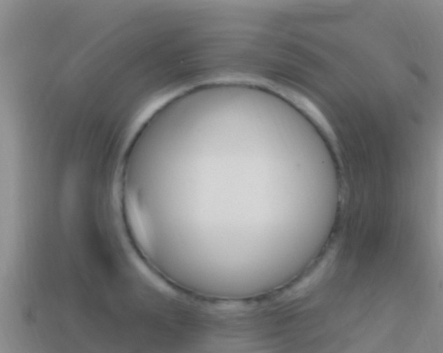 X0000114420847200910161052