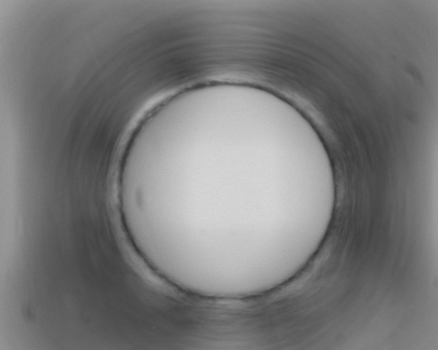 X0000114420848200910161052