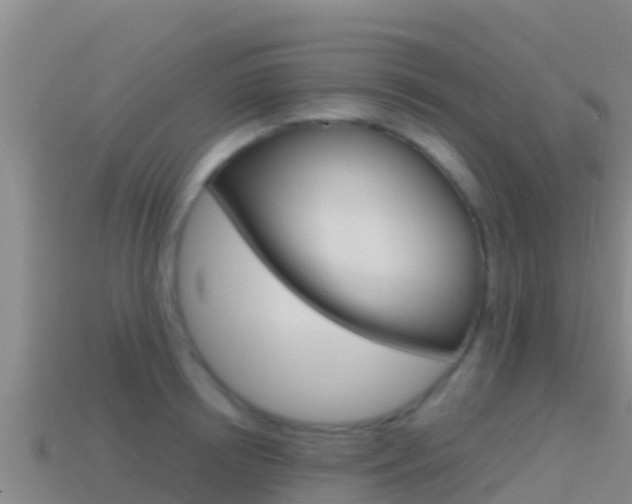 X0000114420850200910161052