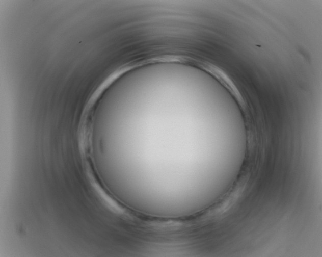 X0000114420851200910161052