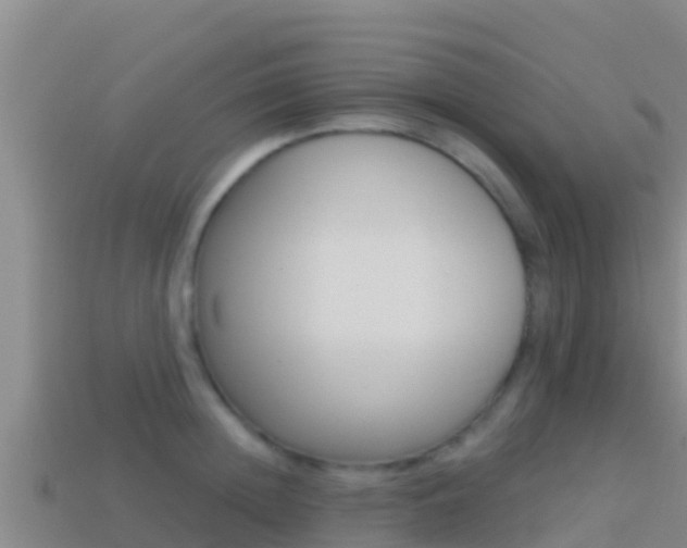 X0000114420852200910161052