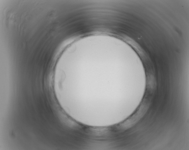X0000114420856200910161052