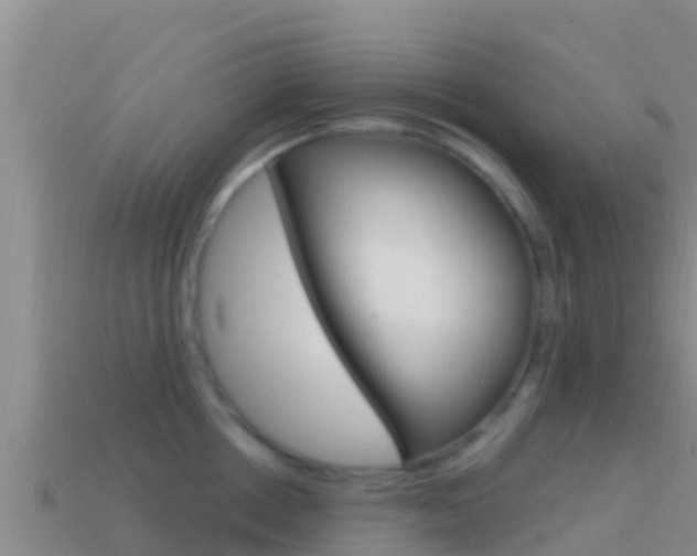 X0000114420858200910161052