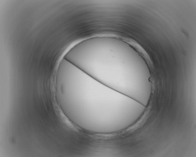 X0000114420860200910161052