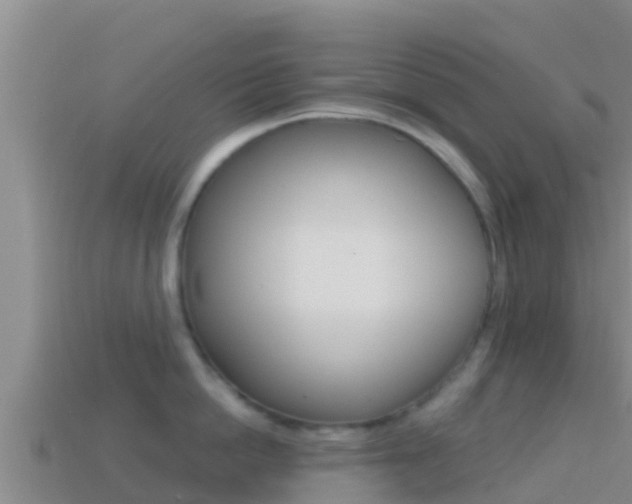 X0000114420862200910161052
