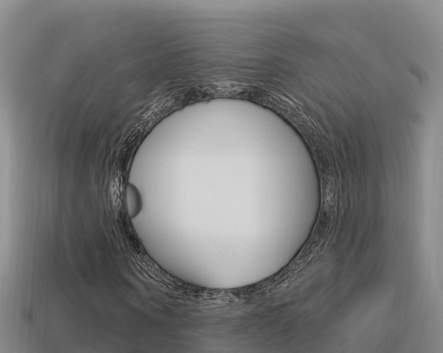 X0000114420866200910161051