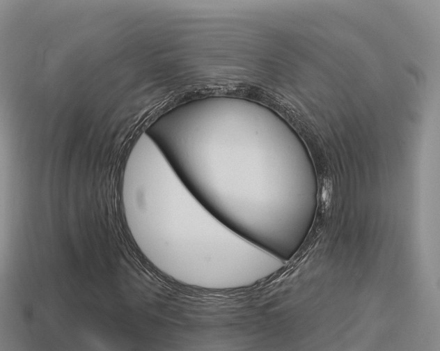 X0000114420867200910161051