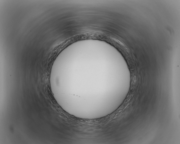 X0000114420869200910161051