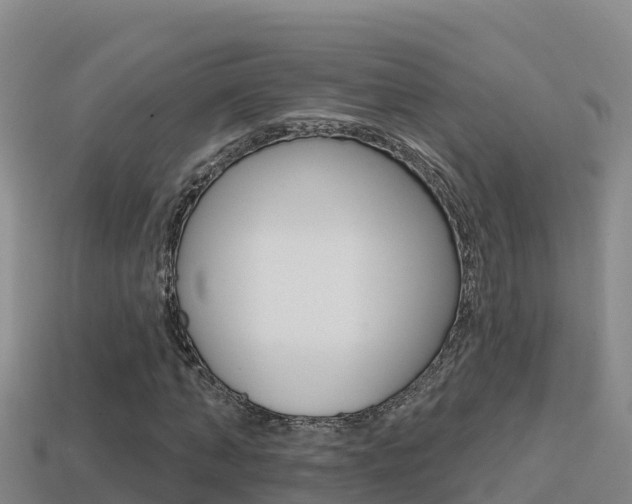 X0000114420870200910161051