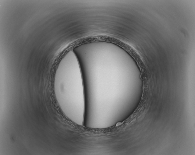 X0000114420871200910161051