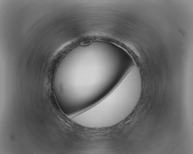 X0000114420872200910161051