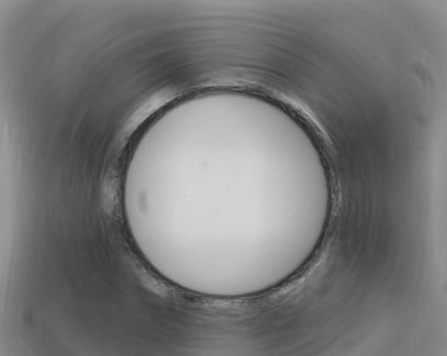 X0000114420874200910161051