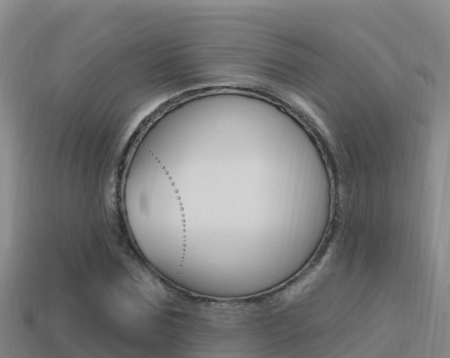 X0000114420875200910161051