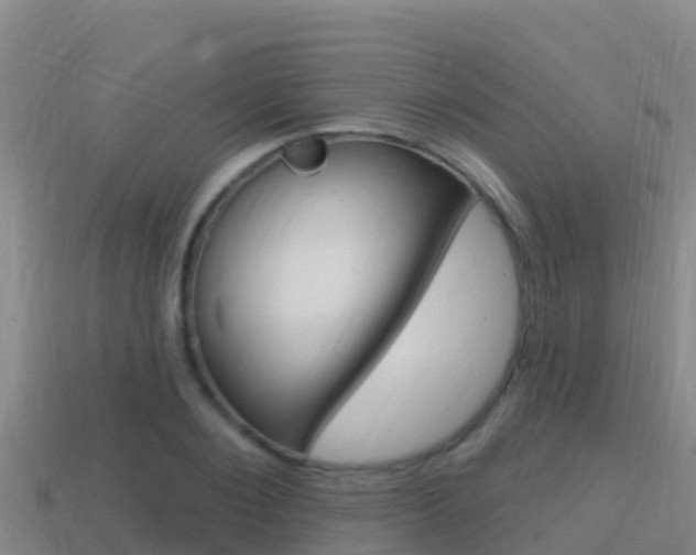 X0000114420884200910161051