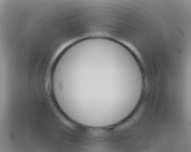 X0000114420886200910161051