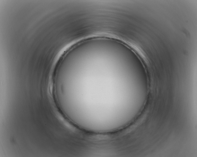 X0000114420888200910161051