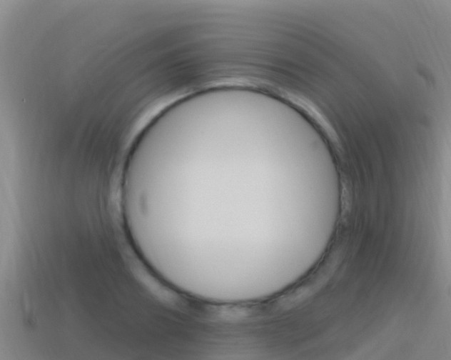 X0000114420890200910161051