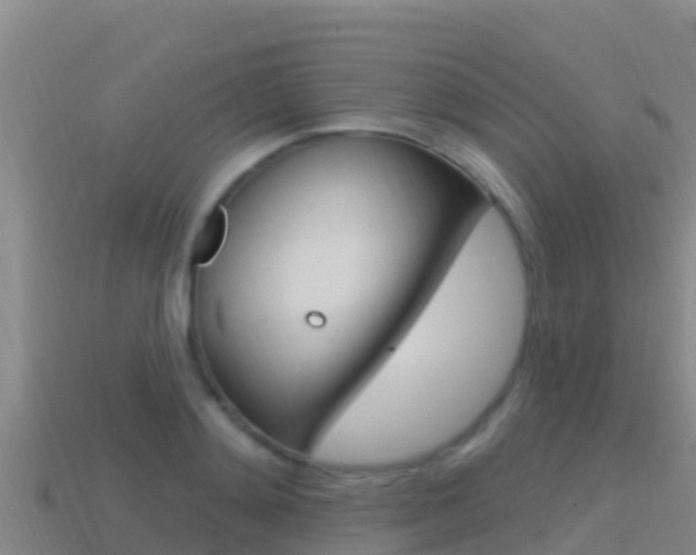 X0000114420892200910161051