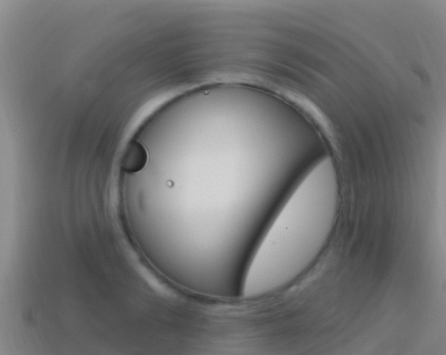 X0000114420894200910161051