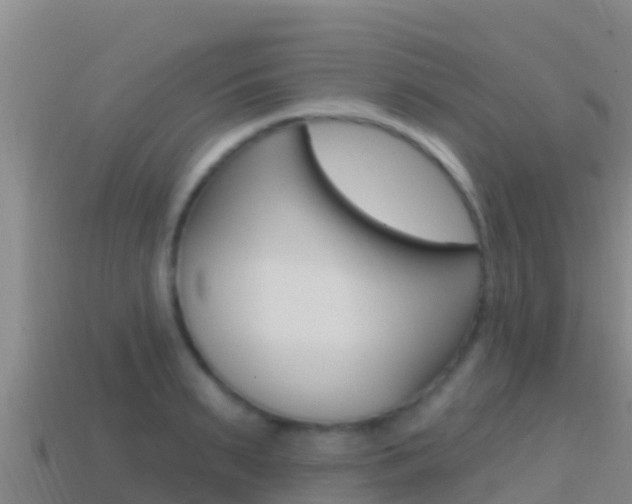 X0000114420895200910161051