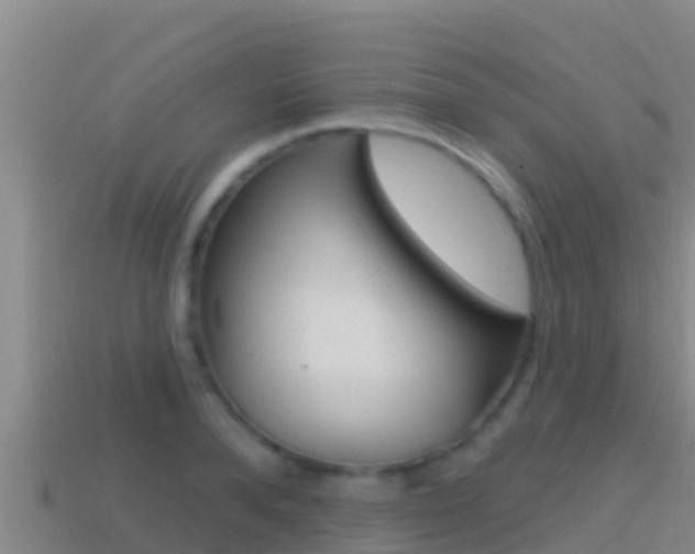 X0000114420896200910161051
