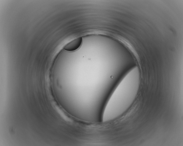 X0000114420898200910161051
