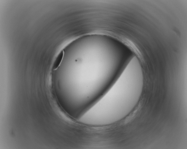 X0000114420900200910161051