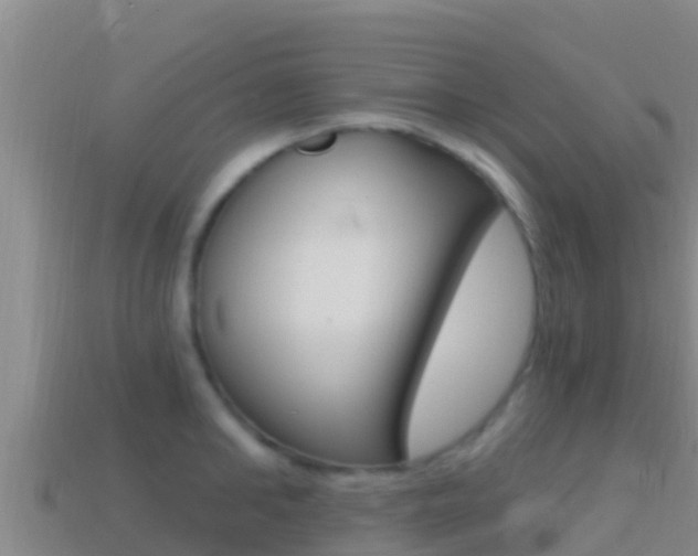 X0000114420902200910161051