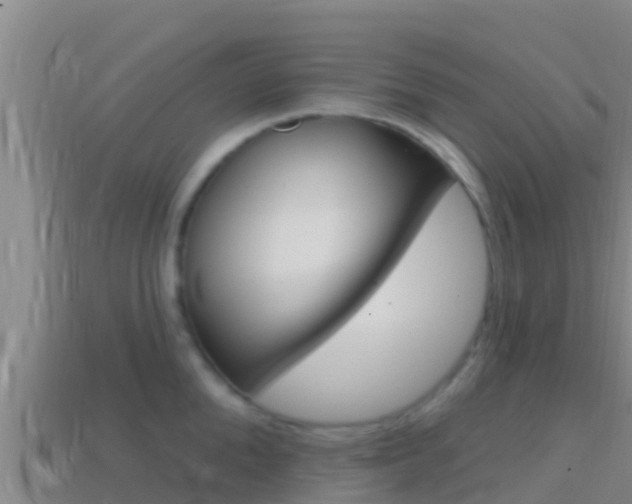 X0000114420904200910161051
