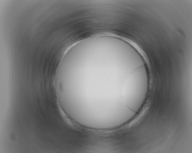 X0000114420905200910161051